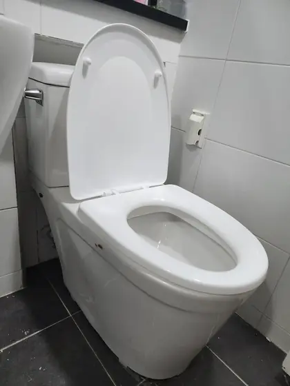 변기 설치 — 좁은 자리에 새로 자리 잡은 흰색 변기